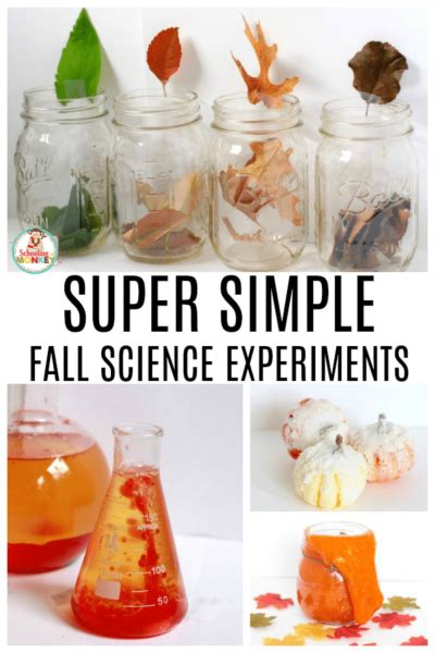 Easy Fall Science Experiments For Elementary Students