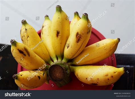 Gold Banana Bananas Quite Small Sweet Stock Photo 2145828035 Shutterstock