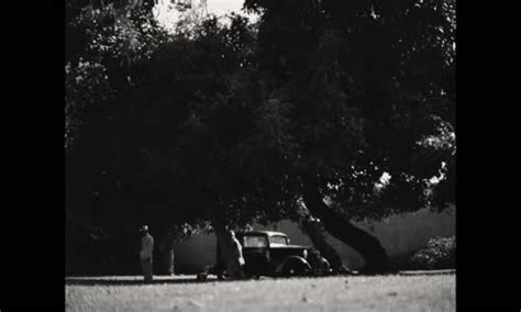 Blonde Online Sdilej Cz