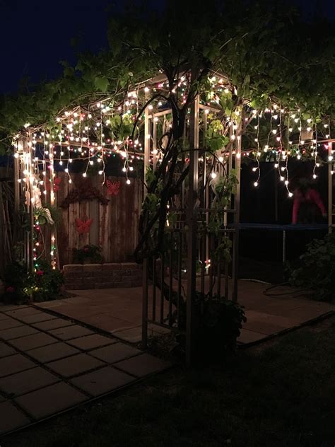 Night time gazebo, grapevine, lights | Gazebo lighting, Diy gazebo, Backyard gazebo