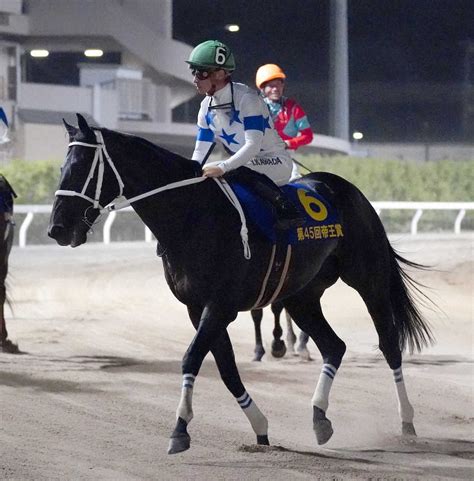 【帝王賞】2着チュウワウィザード 4度目挑戦も届かず川田「しっかりと自分の能力を出してくれた」― スポニチ Sponichi Annex ギャンブル