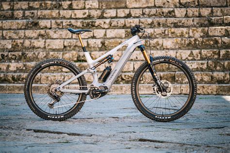 Jurassic Park Pionier Rechtzeitig Canyon Torque E Bike Erwachsensein