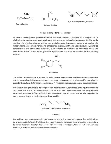 Nomenclatura E Importancia De Alcoholes Fenoles Teres Esteres