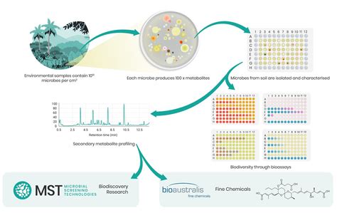 Metabolic Chemical Diversity Microbial Screening Technologies