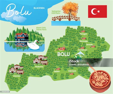 bolu travel map stock illustration  image  forest map