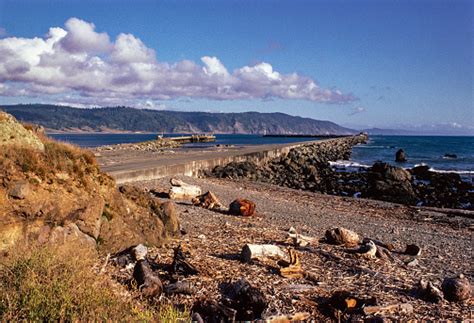 Redwood National Park Beach1983 Stock Photo - Download Image Now - 1983, Archival, Beach - iStock