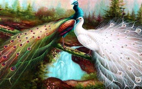 Peacock Bird Design Wallpapers - Top Free Peacock Bird Design ...