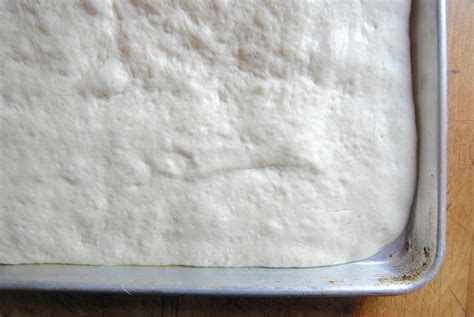 Sourdough pizza crust: new life for a sleepy starter | King Arthur Baking