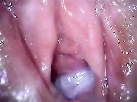 Lungkondoi Pussy XHamster