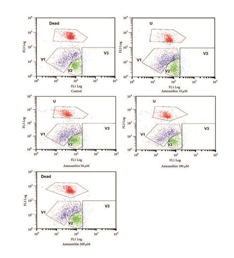 Flow Cytometric Analysis Of Sperm Labeled With Pih2dcfda Fluorescence Download Scientific