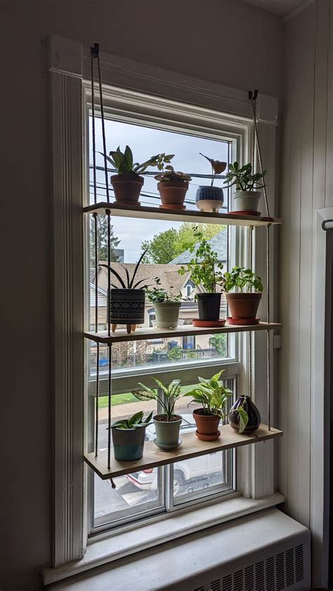 26 Indoor Window Shelf Ideas For Plants Artofit