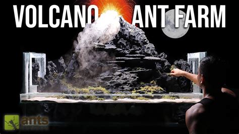 I Created A Volcano Ant Farm For Fire Ants Youtube