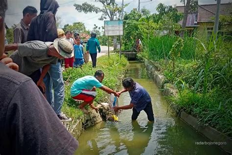 Dikira Boneka Ternyata Mayat Bayi Mengapung Radar Bojonegoro