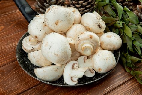 Ciupercile Champignon Beneficii Enorme Pentru S N Tate Mbun T Esc