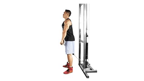 Machine Shoulder Press  Machine