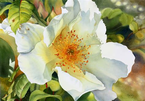 Paintings Marney Ward Sfca Sca Artist