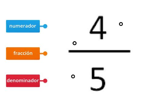 Partes De La Fraccion Labelled Diagram