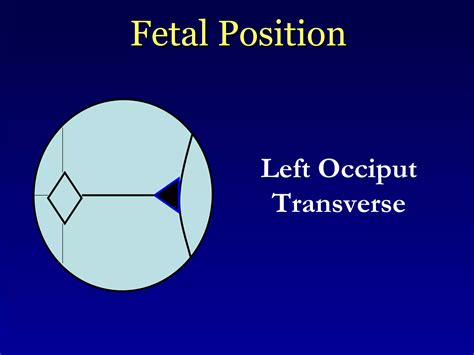 Intrapartum Care And Abnormal Labor Ppt