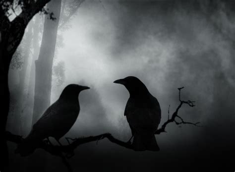 Gothic Crow Wallpapers - Top Free Gothic Crow Backgrounds - WallpaperAccess