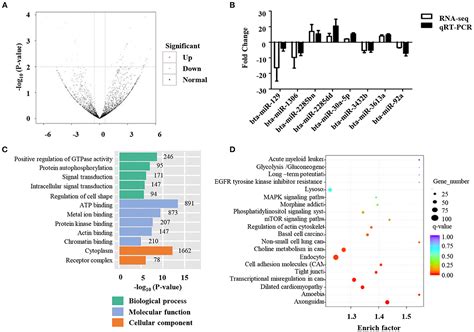 Frontiers Comprehensive Analysis Of Microrna And Metabolic Profiles