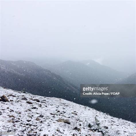 Alicia Snow Photos Et Images De Collection Getty Images