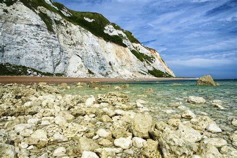 Dover's White Cliffs bloom with poppies and buzz with skylarks after ...