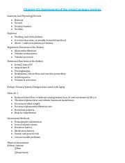 Renal Study Guide Docx Chapter Assessment Of The Renal Urinary