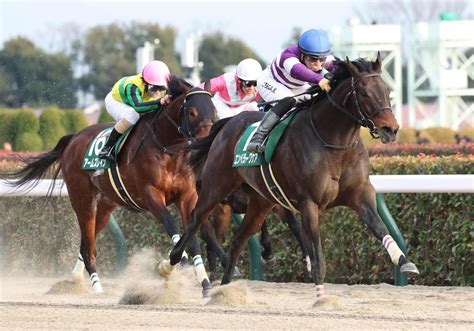 ダート界に新星！エンペラーワケアが3連勝で初タイトル 杉山晴師は東西重賞ジャック／根岸s 競馬写真ニュース 日刊スポーツ