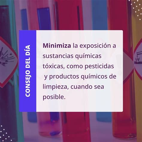 Proteja Su Salud Y El Medio Ambiente Eligiendo Alternativas Naturales Y