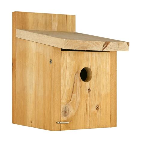 Wild Wings 8 In H Cedar Wood Wren Nesting Box Bird House In The Bird