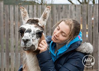 Tiergest Tzte Therapie Mit Alpakas Und Lamas Orenda Ranch Institut