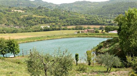 Baciano Riserva Di Caccia Vacanze Di Caccia Italia Regalo Fagiano