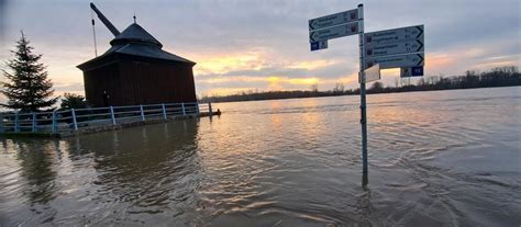 Hochwasser in Hessen Pegelstände am Rhein steigen hessenschau de