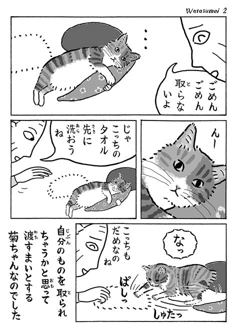 「2ページ猫漫画「渡すまい」 」湊文『猫の菊ちゃん』の漫画