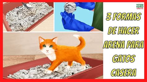 C Mo Hacer Arena Para Gatos Casera Formas Distintas Youtube