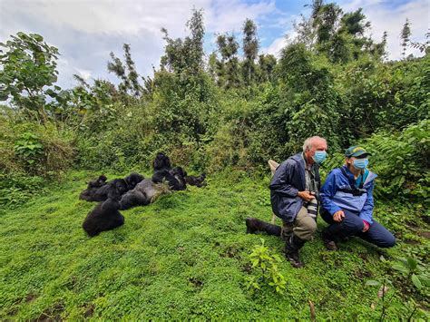 Gorilla Trekking Rwanda - Gorilla Trekking in Rwanda - Gorilla Trekking Safaris Uganda