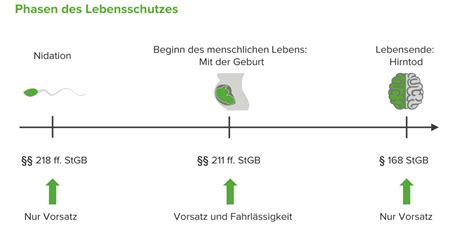 Totschlag 212 StGB E Learning Mit Lecturio