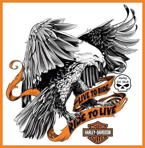 Pin By Floky On Design Harley Davidson Harley Davidson Artwork