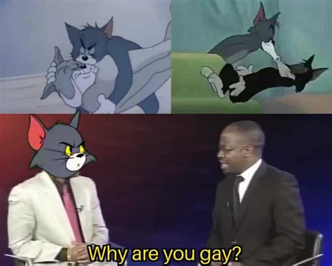 Why Are You Gay R TomAndJerryMemes