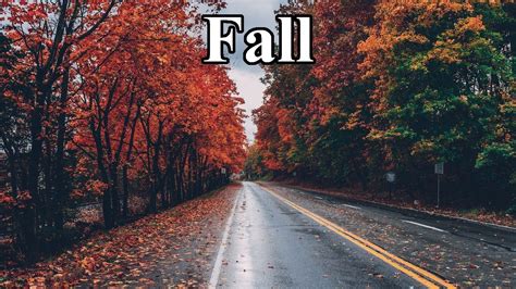 Interesting Facts About Fall Facts About Autumn Youtube