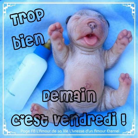 Trop Bien Demain C Est Vendredi Demaincestvendredi Chiens Chiot