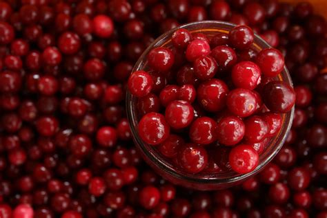 A Short History Of The Cranberry - Feasts of History