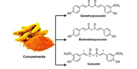 Main Curcuminoids Identified In The Extract Of Genus Curcuma