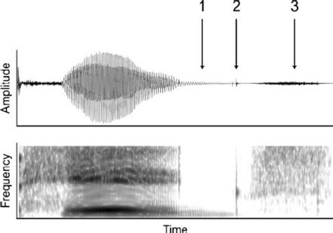 Representative Waveform Top Panel And Spectrogram Bottom Panel For Download Scientific