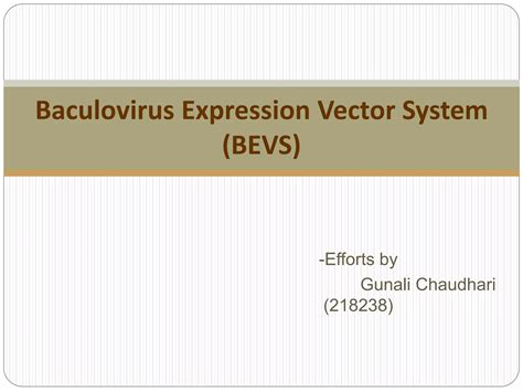 Baculovirus Expression Vector System Ppt