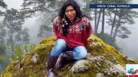 Desaparece Irma Galindo Barrios Defensora De Los Bosques En Oaxaca