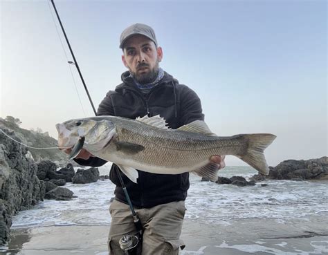 Pesca A Spinning Alla Spigola In Scogliera La Strega Fishing