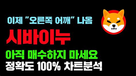 시바이누 긴급 정확도 100 차트분석 아직 매수금지 이제막 오른쪽어깨 나옴 코인시황 Youtube