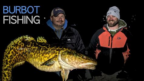 Burboteelpout Fishing Qanda The Complete Guide Youtube