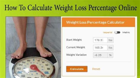 How To Calculate Percentage Of Weight Loss In Excel Calculator